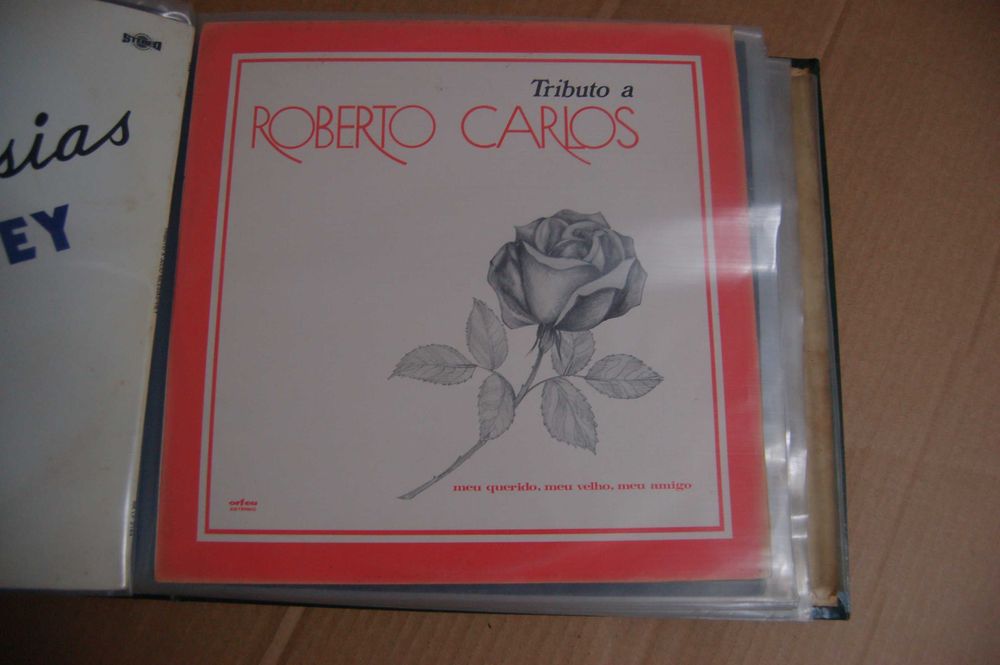 Discos de vinil de vários artistas famosos, alguns muito antigos.