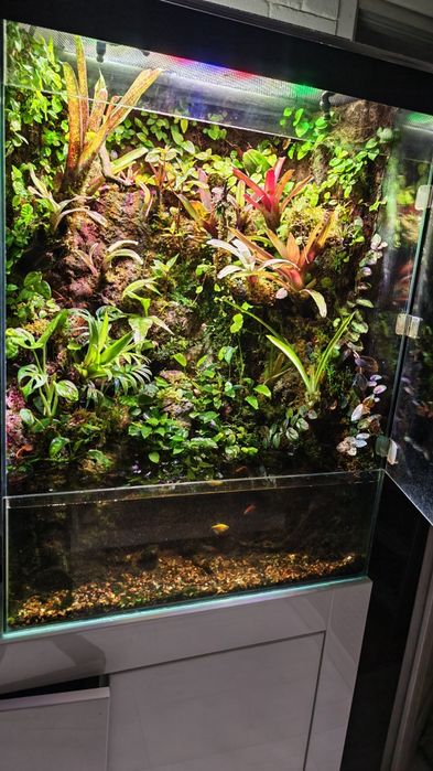 Paludarium roślinne z wodospadem 80x60x40