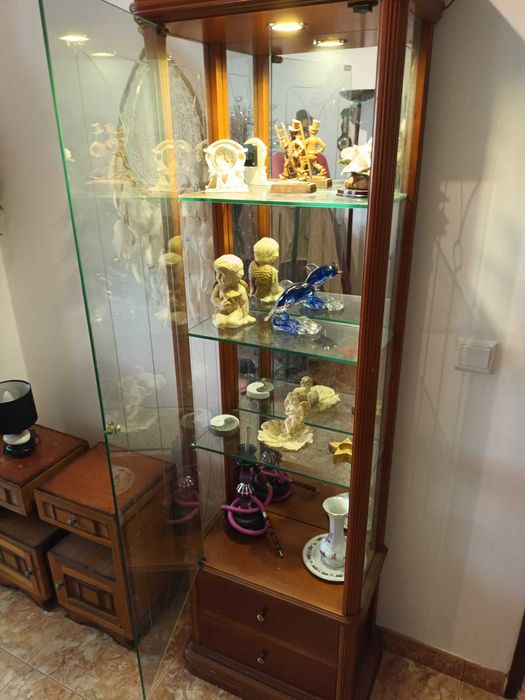 Vitrine com iluminação em raiz de madeira de mogno