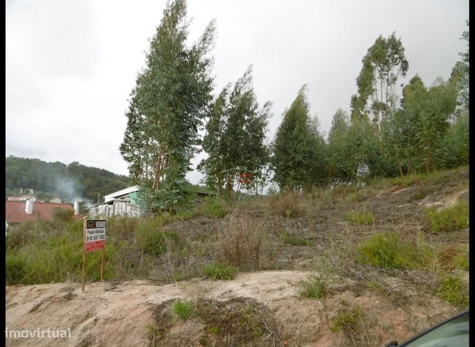 Lote de terreno em zona calma — Nossa Senhora da Piedade, Santarém