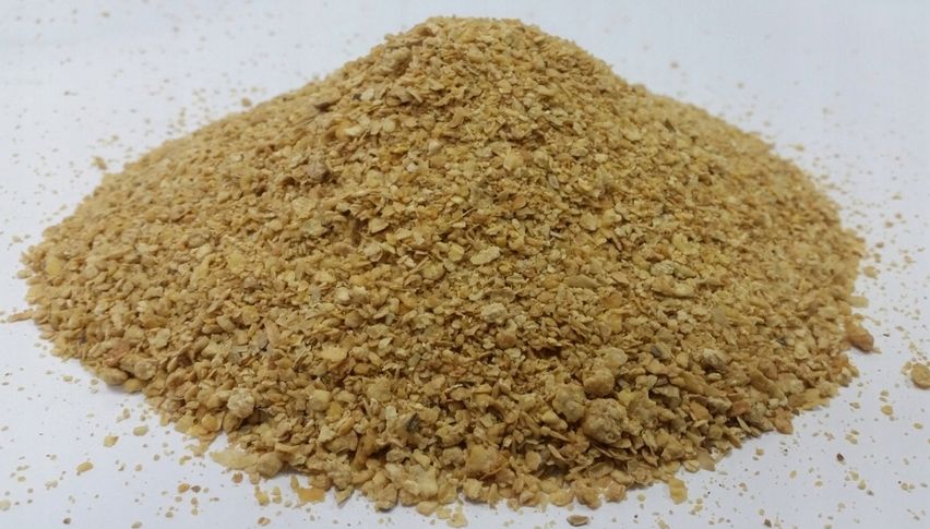 Śruta sojowa soja koncentrat sojowy białkowy 46%