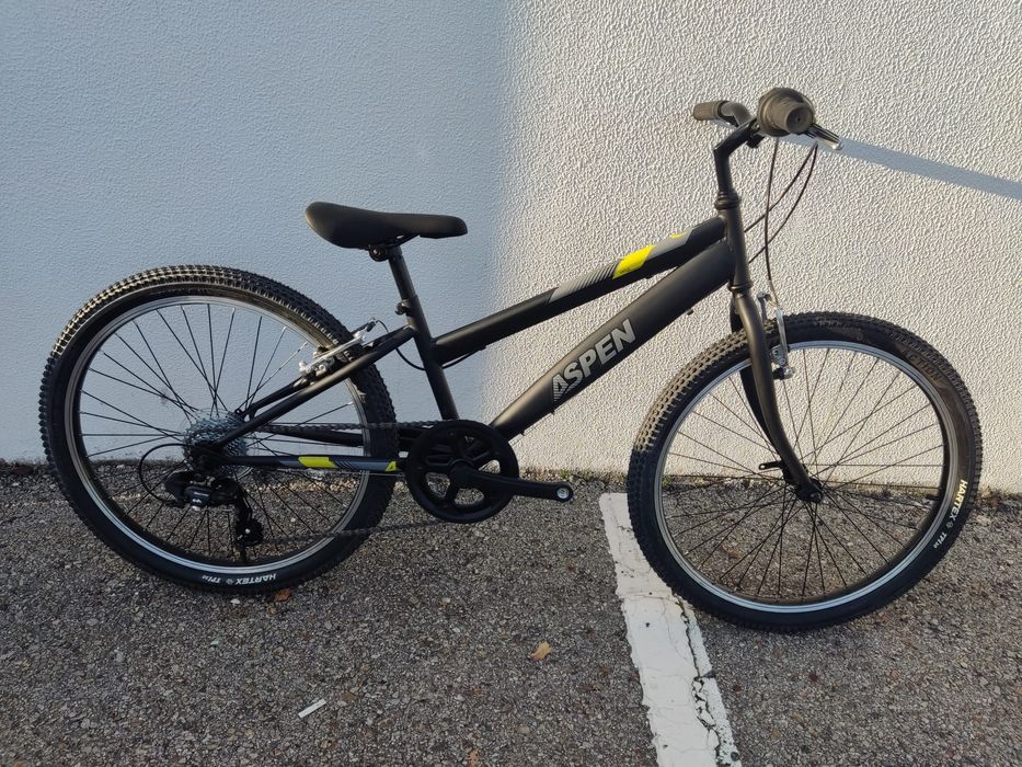 Bicicleta de crianca 24 nova varias cores