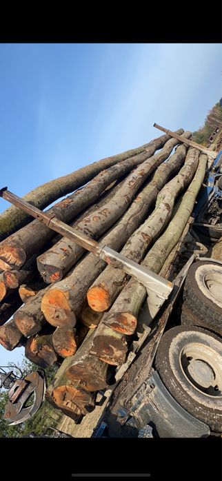 Drewno Kominkowe Buk