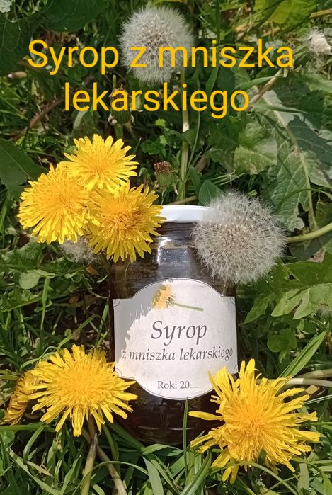 Domowe syropy   / przetwory na odporność