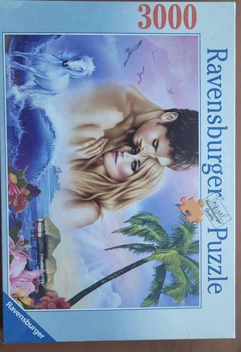 Puzzle 3000 pecas