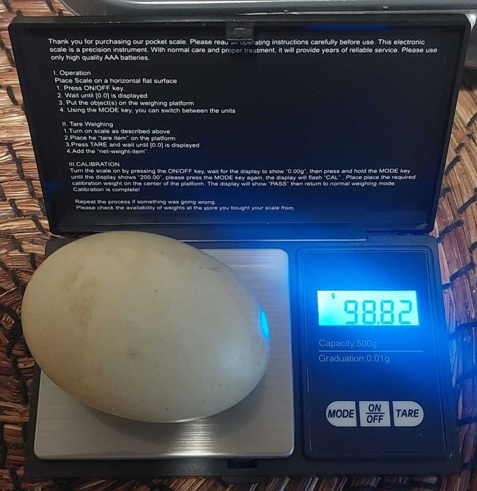 OVOS CASEIROS Criação 100% Biológica ricos em proteínas
