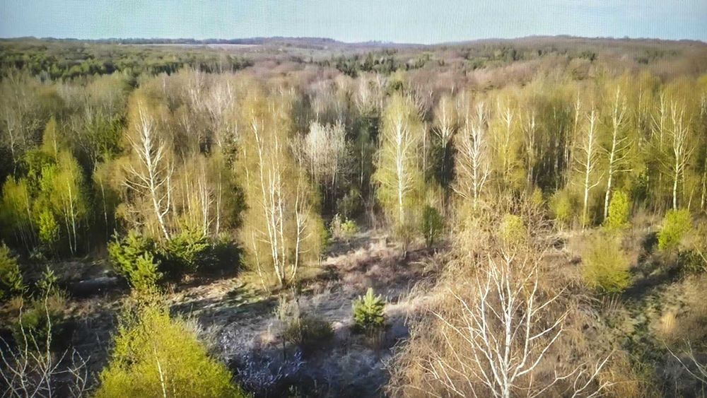 Ділянка садівництво с.Майдан дві по 10сот. суміжні (20 соток) 2200$/сота