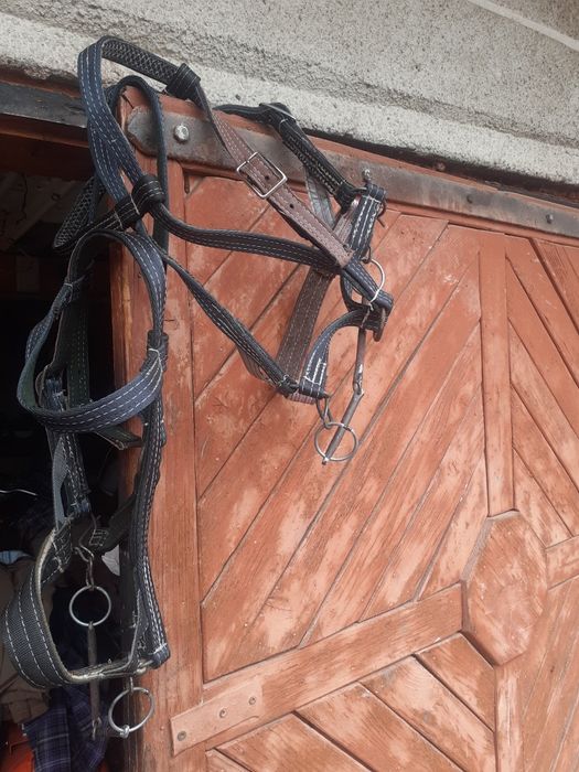 Збруя для коней , наявності є вуздечки , шлия.и
