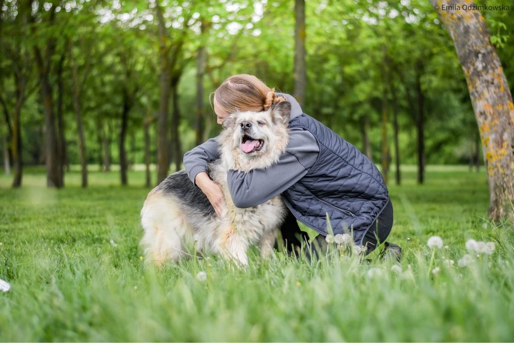 Ramona-starsza cudowna towarzyska suczka do pilnej adopcji