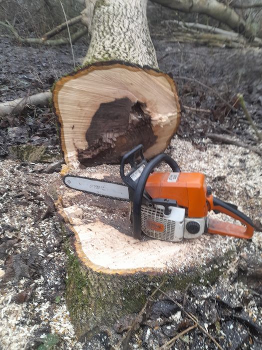 Wycinka drzew karczowanie działek