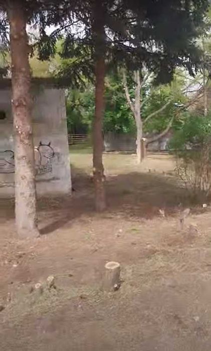 Комплексная уборка земельных и дачных участков по Кривому Рогу.