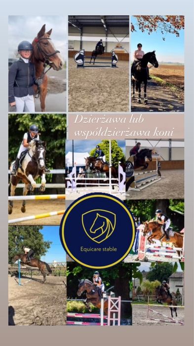 Dzierżawa / współdzierżawa koni – Equicare Stable