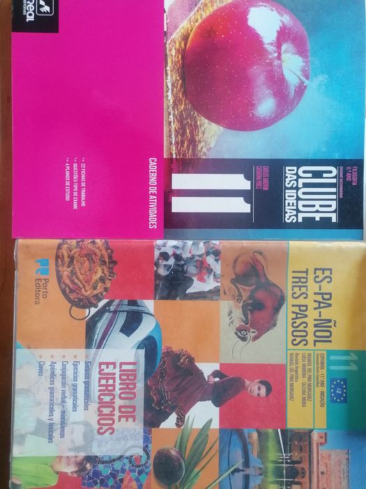 Cadernos de Atividades - 11.º Ano - como novos