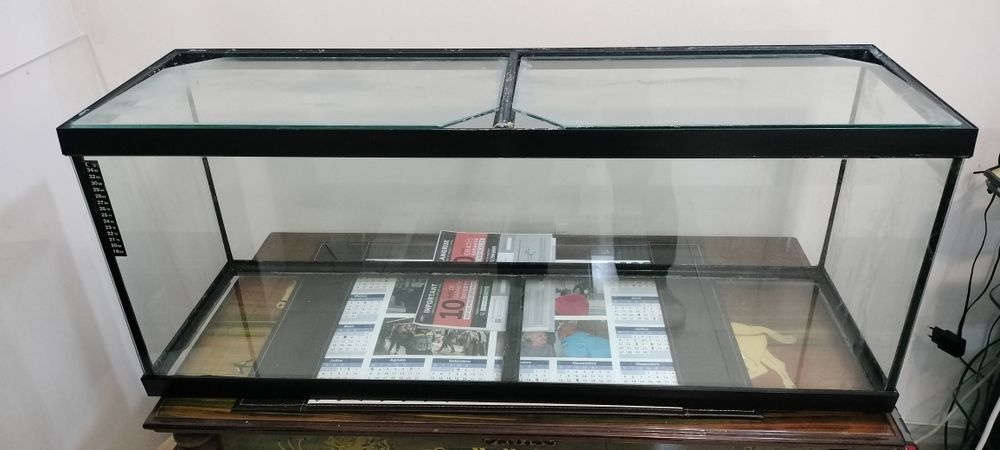 Aquário de 100 cm