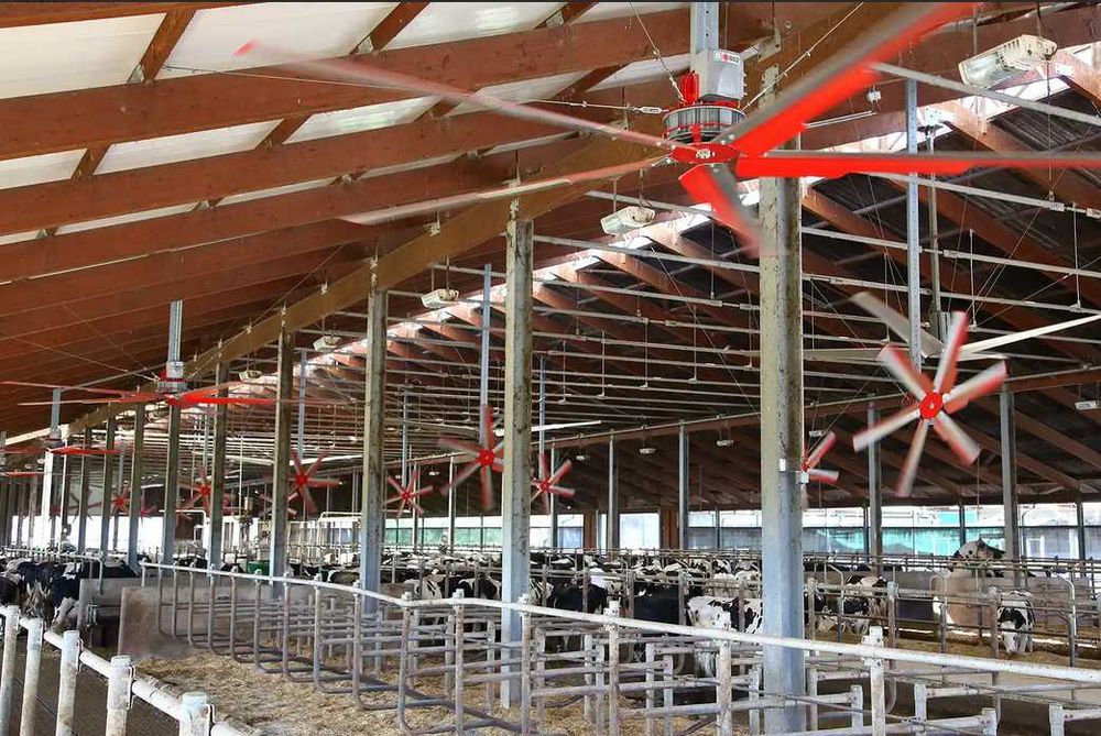 Wentylator do obory typu helikopter | mieszacz powietrza