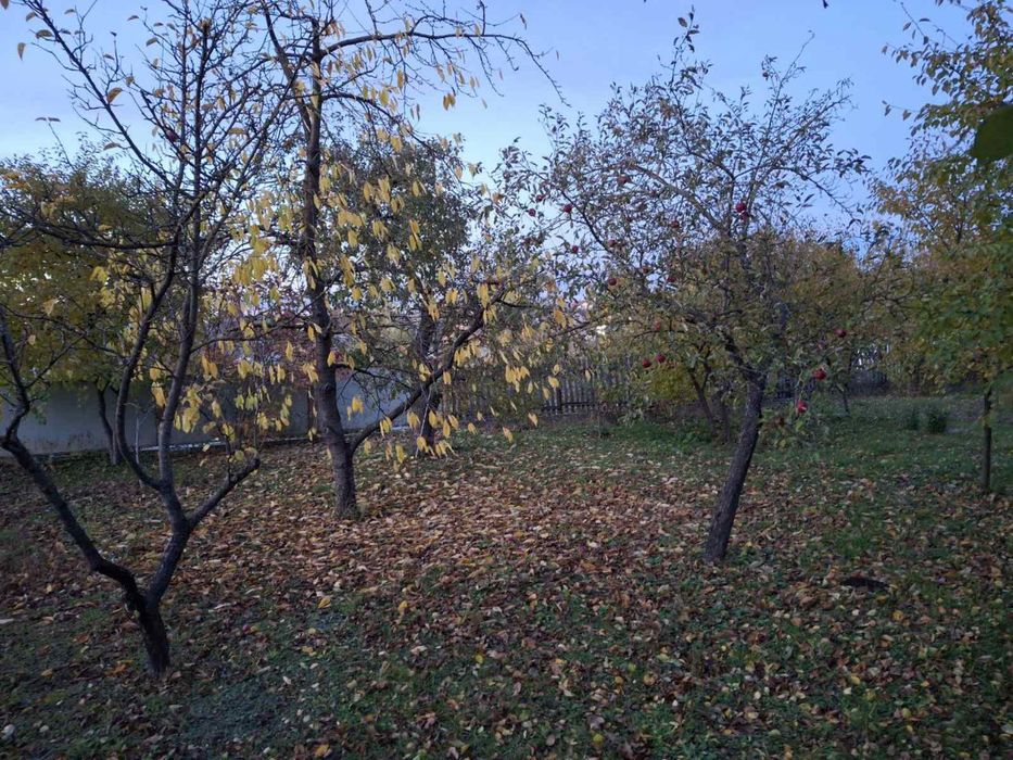 Продаж будинку у В.Березовиця