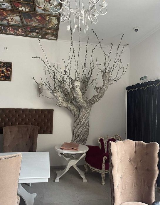 Здається комерційне приміщення на вул. Замостянська