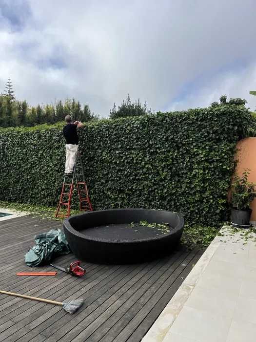 Manutenção Jardins (Jardineiro)