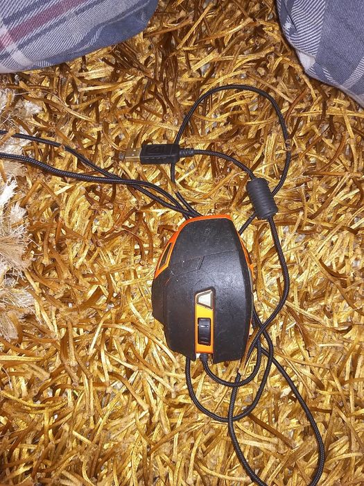 Ratos e teclado para PC.
