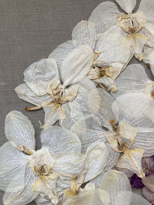 Орхідея пресована для творчості для епоксидки