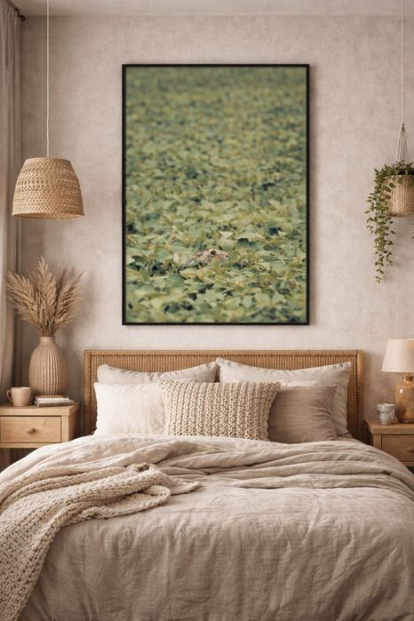 fotoplakat "zając" 50x70 cm
