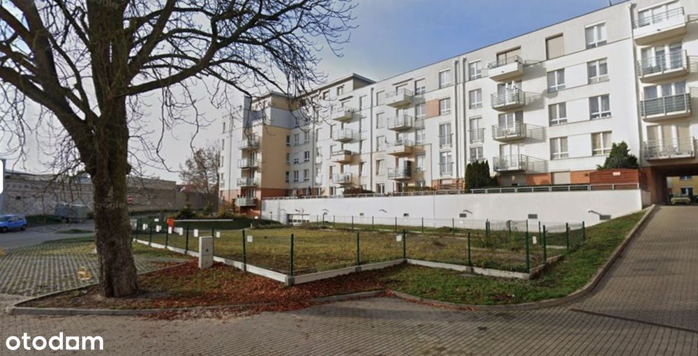 Miejsce parkingowe - 3 bezpośrednio obok siebie - Widok 2