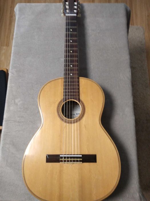 Viola de Fado, Domingos Martins Machado.