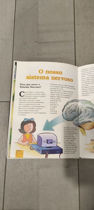 Livro era uma vez o corpo humano Cérebro