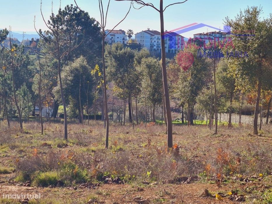 Terreno com 7107m2, viabilidade de construção em Figueiró dos Vinhos — Figueiró Dos Vinhos E Bairradas, Leiria