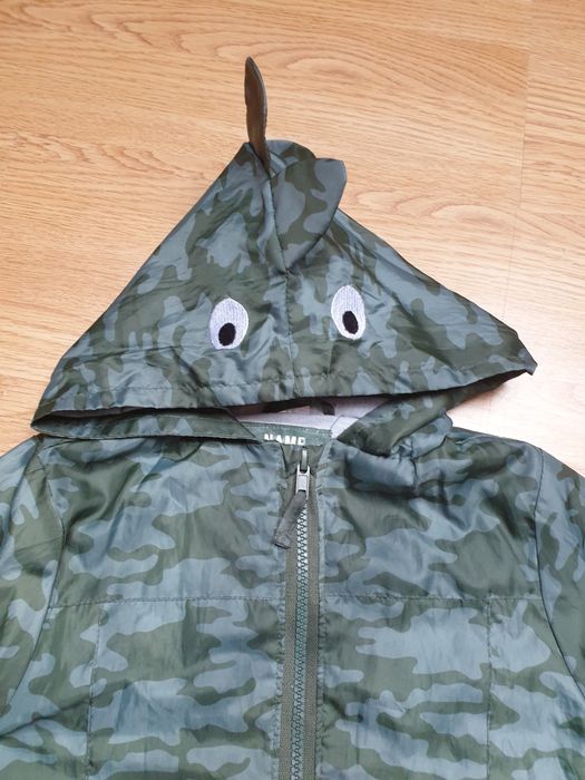 Kurteczka przejściowa