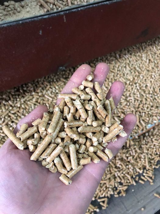 PRODUCENT !!! Pelet z Mazur EN PLUS !!!