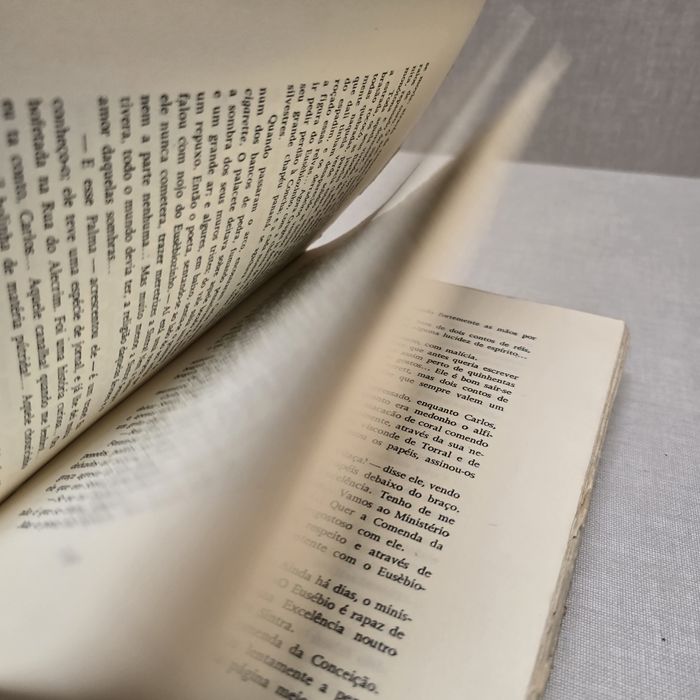 Livro de Eça de Queiroz  "Os Maias"