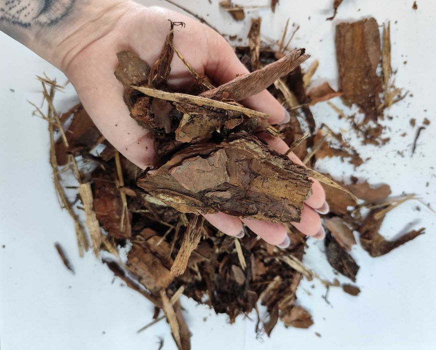 KORA SOSNOWA ogrodowa 80L MIX wielkości różne wymiary MIX