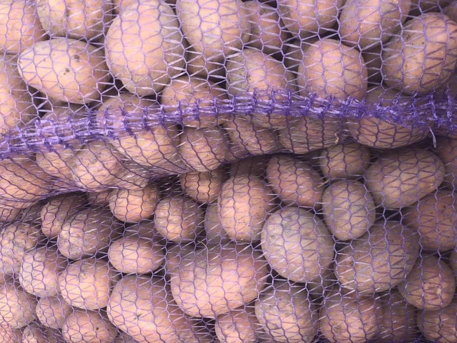 Продам картоплю та моркуву
