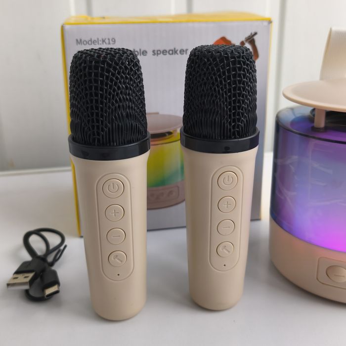 Колонка караоке з 2 мікрофонами