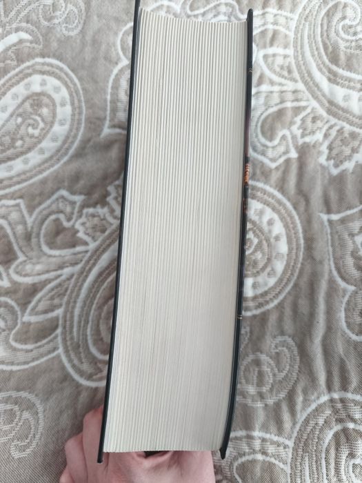 Собор Парижской Богоматери
Виктор Гюго