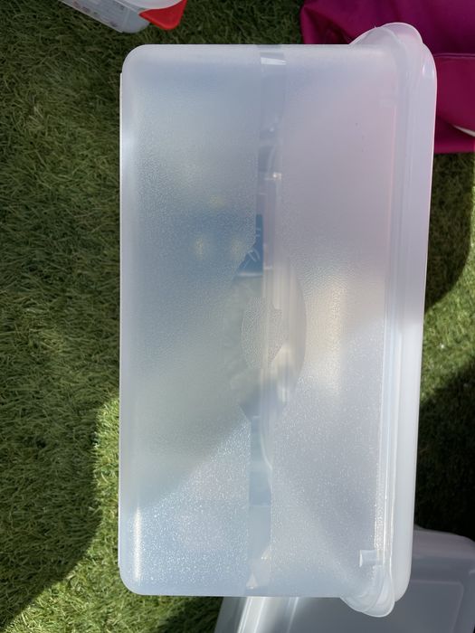 New Polypropylene Food Containers444911993625006084
