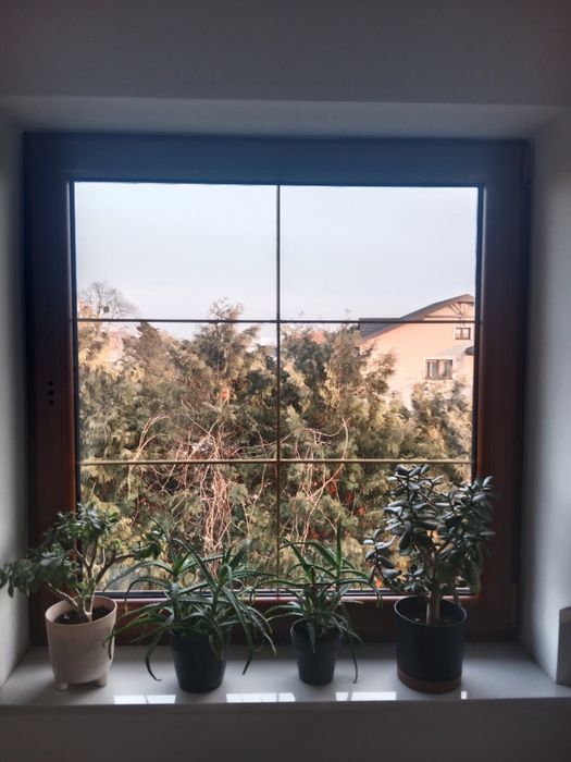 Sprzedam okna używanie