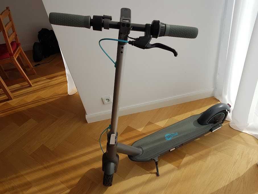 Hulajnoga elektryczna motus scooty 10