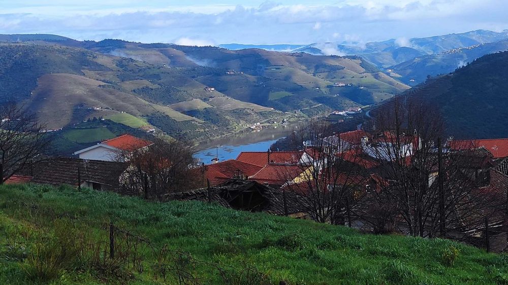 Terreno Vista Douro