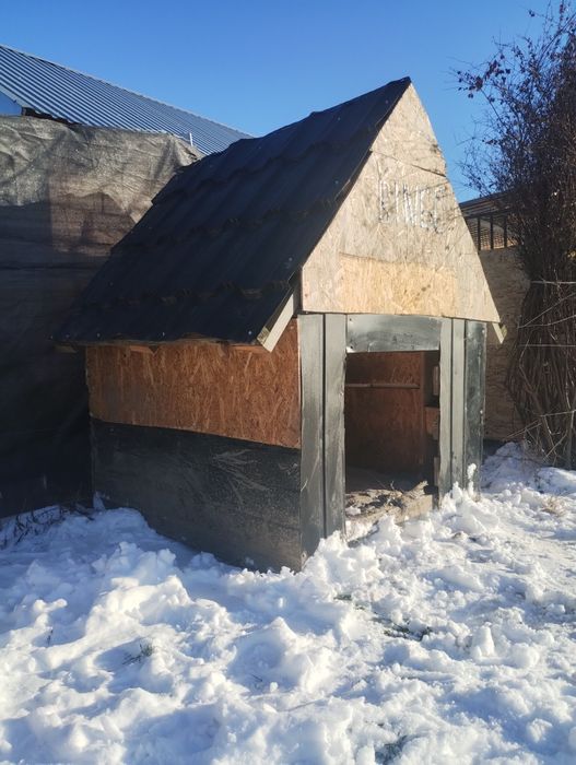 Buda dla dużego psa