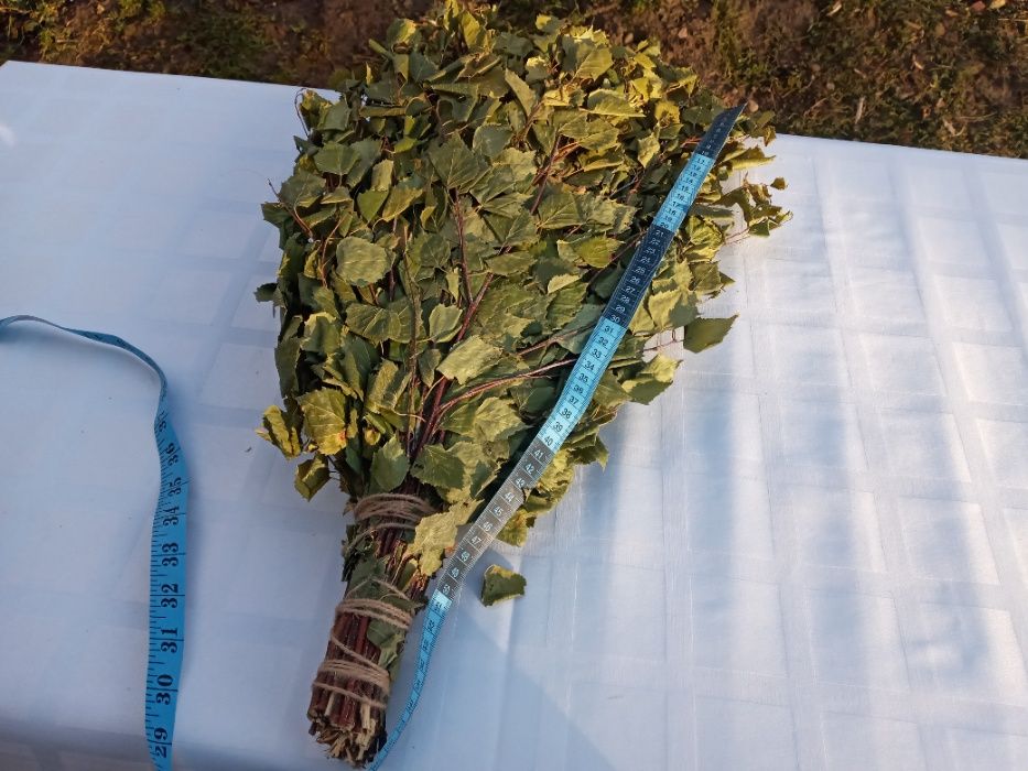 ВІники в баню сауну Дуб Береза Липа Ялина 10/5/50