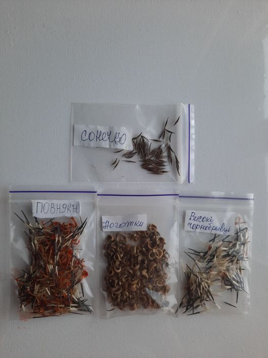 Насіння квітів однорічних