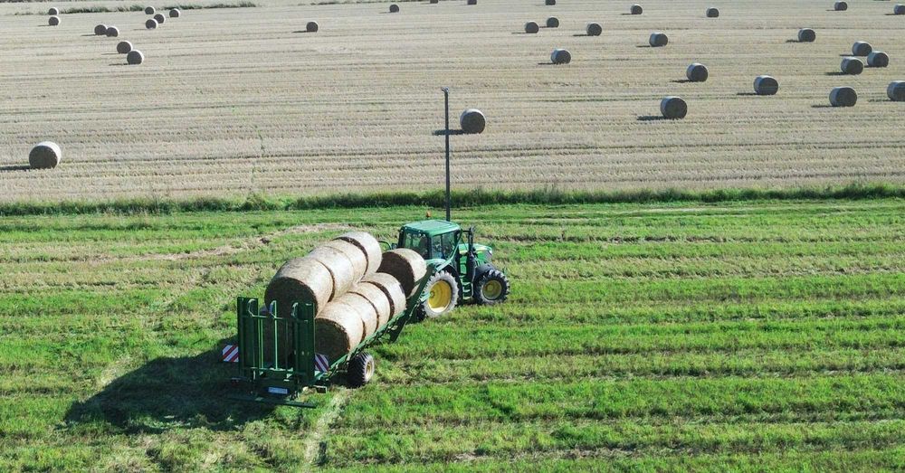 Przyczepa samozaładowcza do bel KOBZARENKO PT-18
