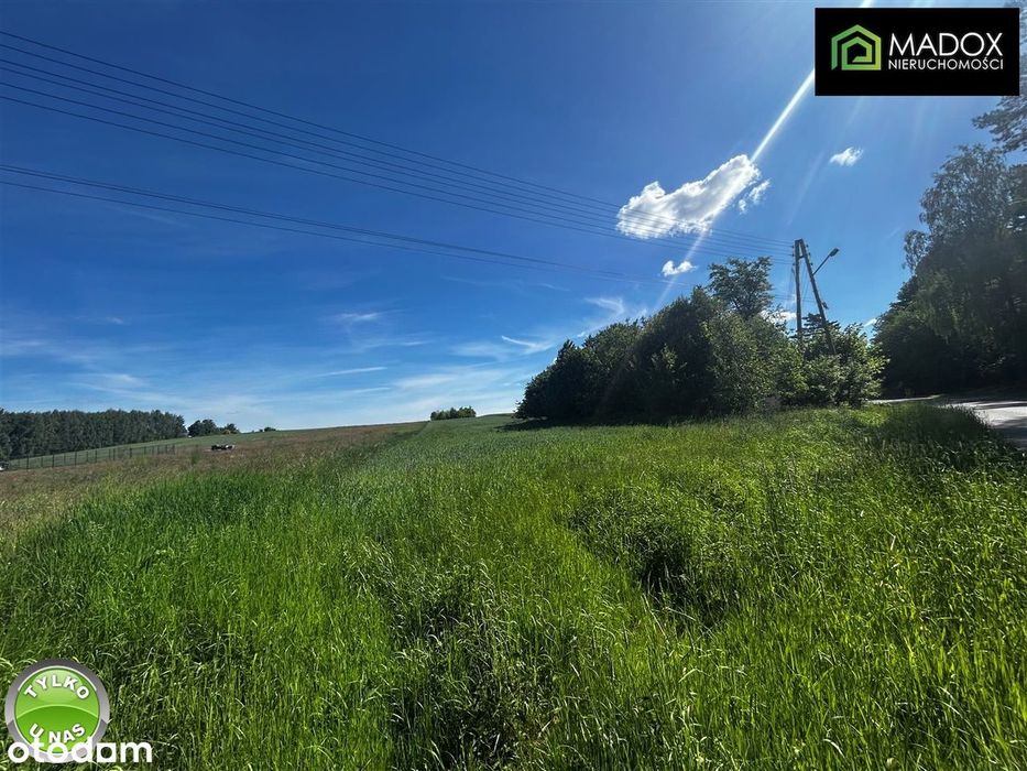 Działka 6914 m² | Pierzchno | Mpzp