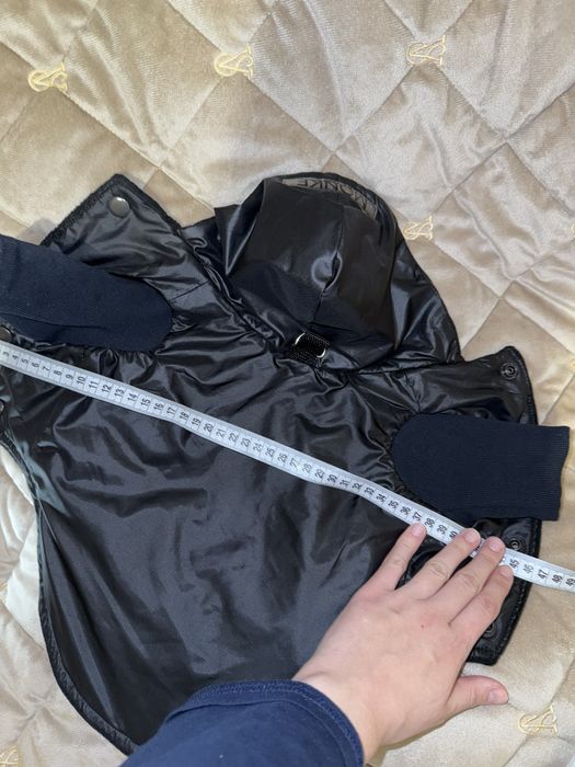 Одяг для тварин собак