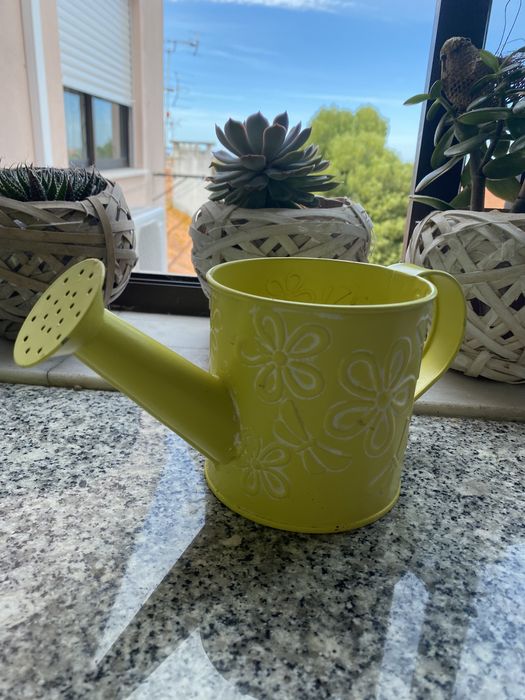 Regadores de decoração