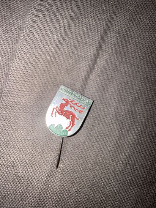 Wpinka herb miasta