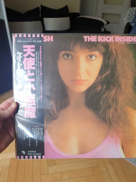 PLYTA Kate Bush-The kick inside
