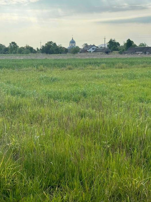 Земельна ділянка, с. Пили